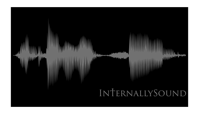 Internally Sound Logo
